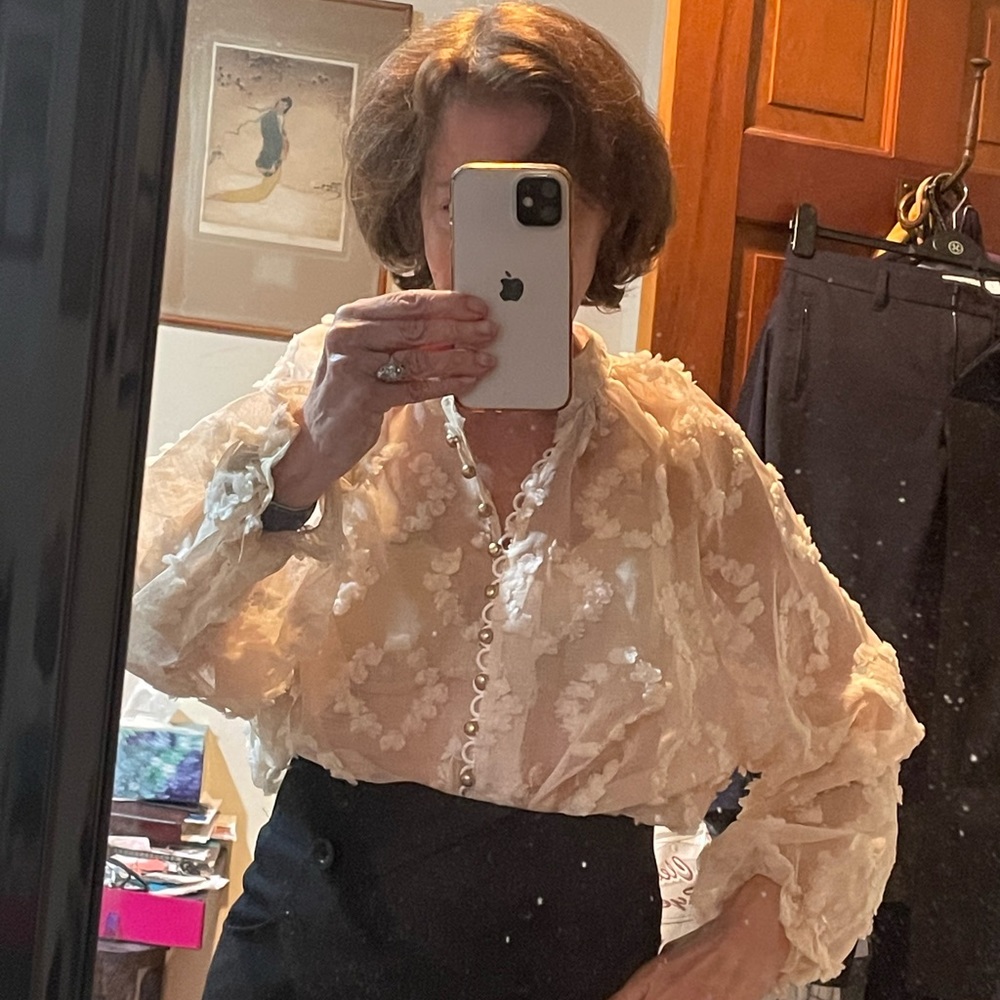 Festive Blouse perfect for the Holidays